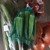 野菜を仕入れ