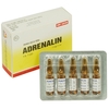 Adrenalin- Thuốc kích thích hệ giao cảm