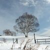冬の菅平高原