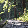 今年中に行きたい場所～大神山神社～