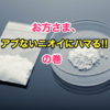 お方さまの苦笑日記　「お方さま、アブないニオイにハマる!!の巻」