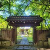 【滋賀県】、大津市坂本、『慈眼堂』に行ってきました。　青もみじ