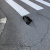 道路の陥没