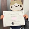 英検ジュニア シルバーのCertificate届きました！