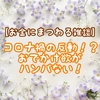 【お金にまつわる雑談】コロナ禍の反動！？　おでかけ欲がハンパない！