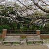 【2025年４月14日（月）から4月20日（日）のメッセージ】