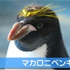 2カ月に一度の覚悟！