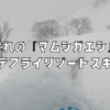 憧れの『マムシガエシ』ロッテアライリゾートスキー場。