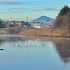 生板池（茨城県石岡）