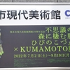 【美術館】不思議の森に棲む服 ひびのこづえ×KUMAMOTO展（熊本市現代美術館）