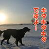 どうする？タイトルマッチはもうすぐだ！