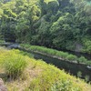 5月19日(火)秩父フライフィールドの河川情報