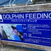 下田海中水族館