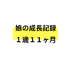 娘の成長記録　1歳11ヶ月