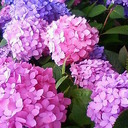 hanna_and_art’s blog