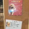 保護犬カフェ堺店　2021.10.14