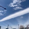 青空背にして桜が咲いたカメラが恋してしまう春