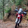 初　林道ツーリング　山山山