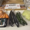 野菜の話し