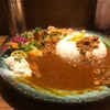 【大阪・本町】行列必至のスパイスカレー｜ボタニカリー ｜