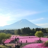 山梨・富士山と芝桜②・5,03