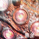 節足ゲノム