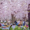 お酒の席のことだから？