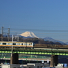 府中郷土の森公園を歩いて～写真散歩～2022年1月