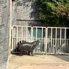 行って良かった、動物園