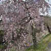 4月のまとめ　（2024-W14〜W17）
