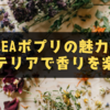 IKEAポプリの魅力を徹底解剖！インテリアで香りを楽しむ方法