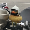 ヘルメットヒヨコ🐤 ワイルド系？