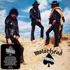 【ヘヴィメタル・ハードロックの名曲】74曲目　Motörhead – Ace Of Spades