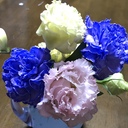 happysii’s diary
