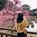 女子大生ココの海外旅情報