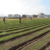 農園日誌Ⅲーむかし野菜の四季