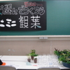学園祭でミニ観葉の寄せ植え体験教室を開催