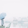 piece／Gloveity