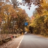 紅葉が見ごろな群馬の奥地に行ってきた