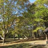 2021.11.6　日光だいや川公園～いろはにもみじ