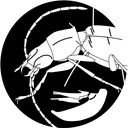 地下湿地定期便