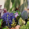 Daily Flowers　2/19