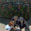 5連休、洗濯終わって女子会＋野郎１で「やまぐちフラワーランド」初訪問！