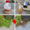 【雑草を根から枯らして駆除！】グリホサート系除草剤の効果を定点観測 Before & After！