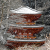 【冬の京都】雪化粧の岩船寺。静寂に包まれた三重塔と冬の花たち