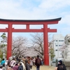 鎌倉の桜と江ノ島の鳥