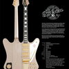 Gibson Custom Shopから、カスタムショップ20周年を記念した特別なFirebird、「Historic Collection 20th Anniversary 1965 Firebird VII Reissue」登場！