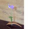 器と花展　その７