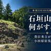 【続日本100名城 No.126】石垣山城（石垣山一夜城）は何がすごい？現地で感じた石垣・小田原城の眺望・歴史・見どころを紹介
