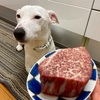 A5等級のゆくえ